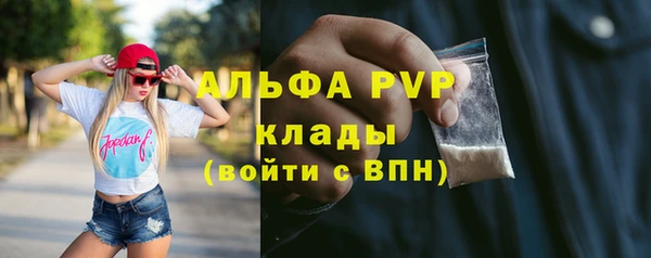 СК Горняк