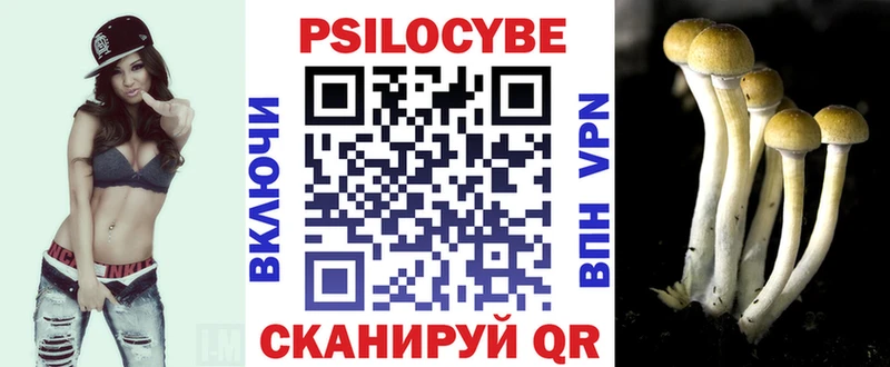 Купить где  Сергач  Галлюциногенные грибы Psilocybe 
